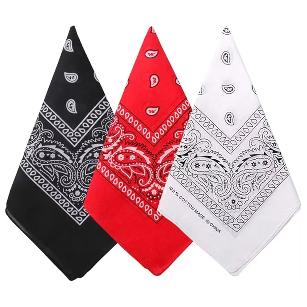 Hip Hop Cowboy Paisley Scarf L - Bandana Blank White 评论和价格