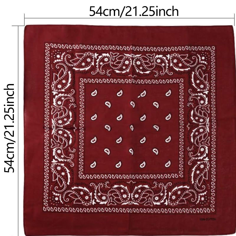 Hip Hop Cowboy Paisley Scarf L - Bandana Blank White 评论和价格